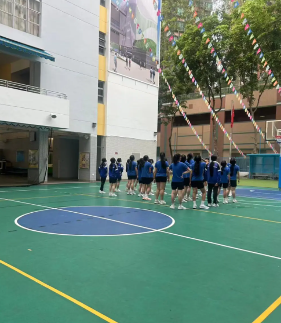 想去香港沙田區(qū)讀中學(xué)，該怎么選學(xué)校？